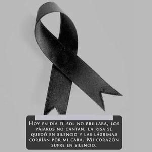 Meet your Posher, Perla